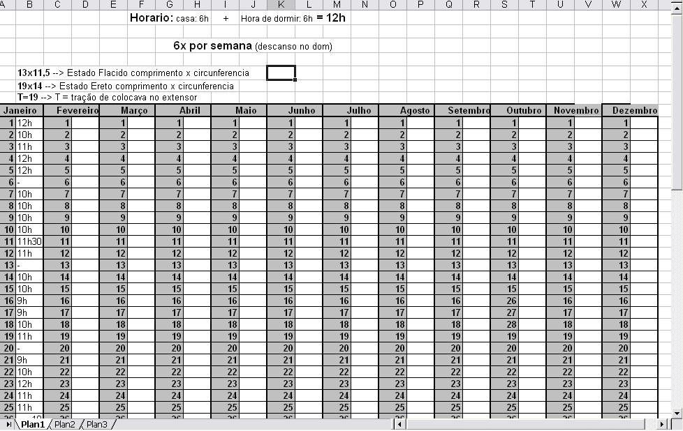 Metodo de treino: Como organizar seu treino diario