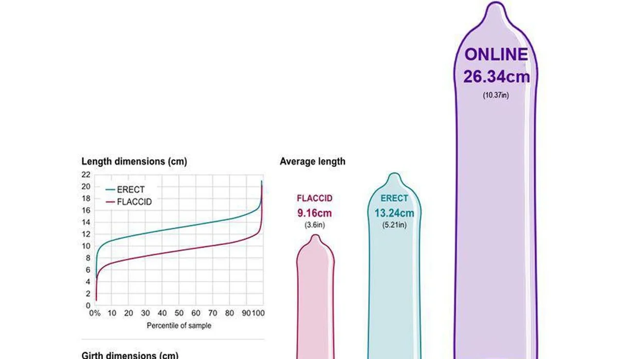 EG (Erect Girth)