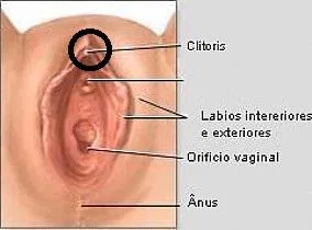 Estimulando o clítóris