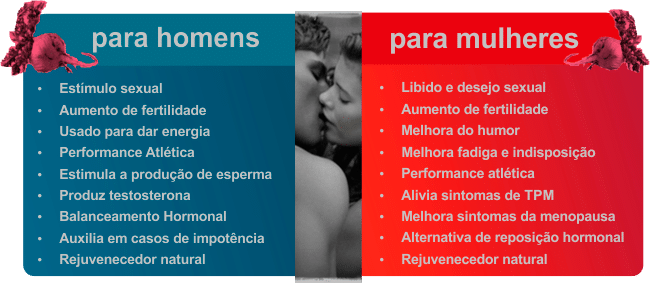  maca peruana benefícios
