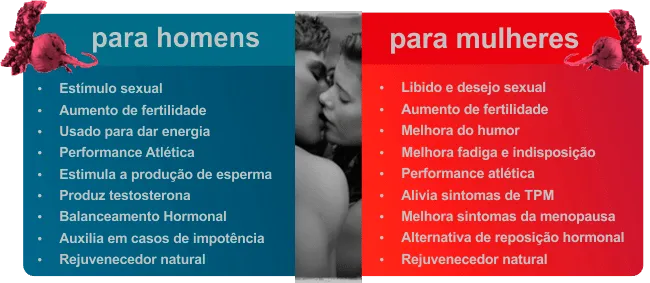  maca peruana benefícios