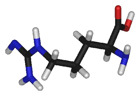 L-arginine 