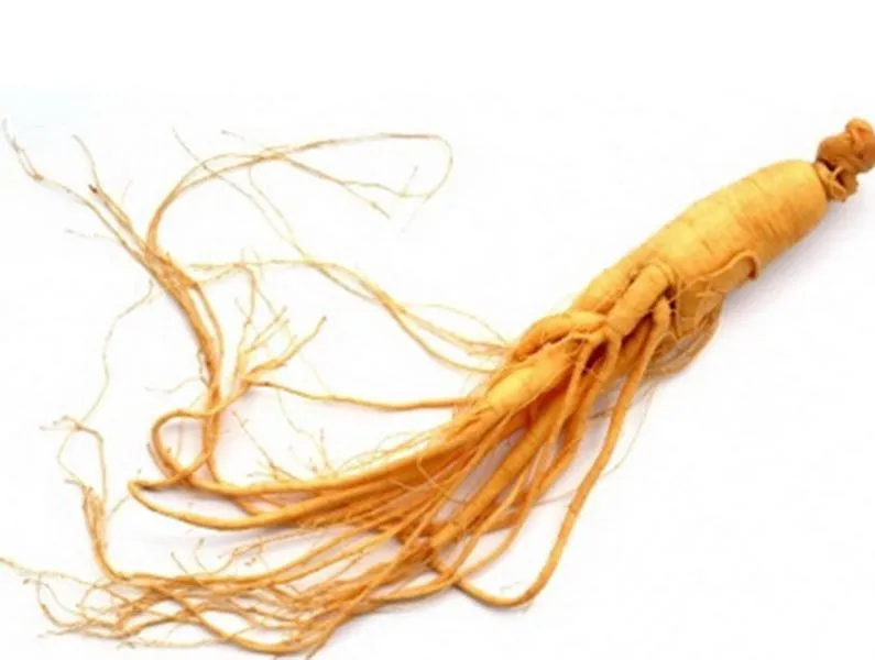 Ginseng