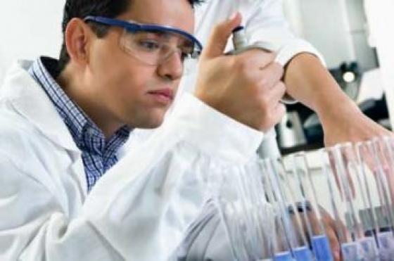 Estudando a Maca Peruana
