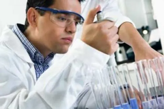 Estudando a Maca Peruana