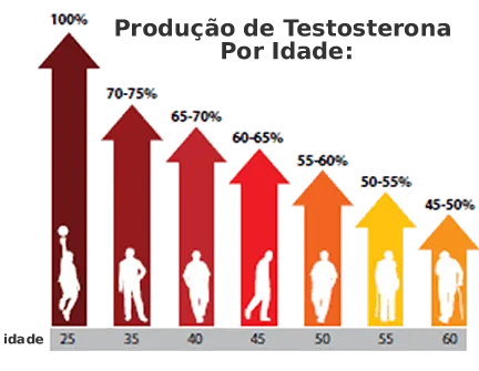 Níveis Testosterona