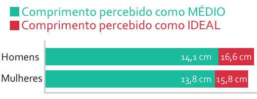 o tamanho médio do pênis?