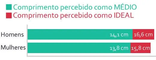 o tamanho médio do pênis?
