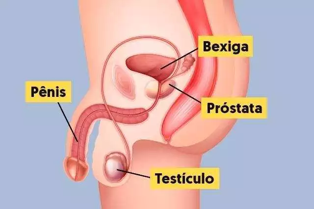 câncer de próstata