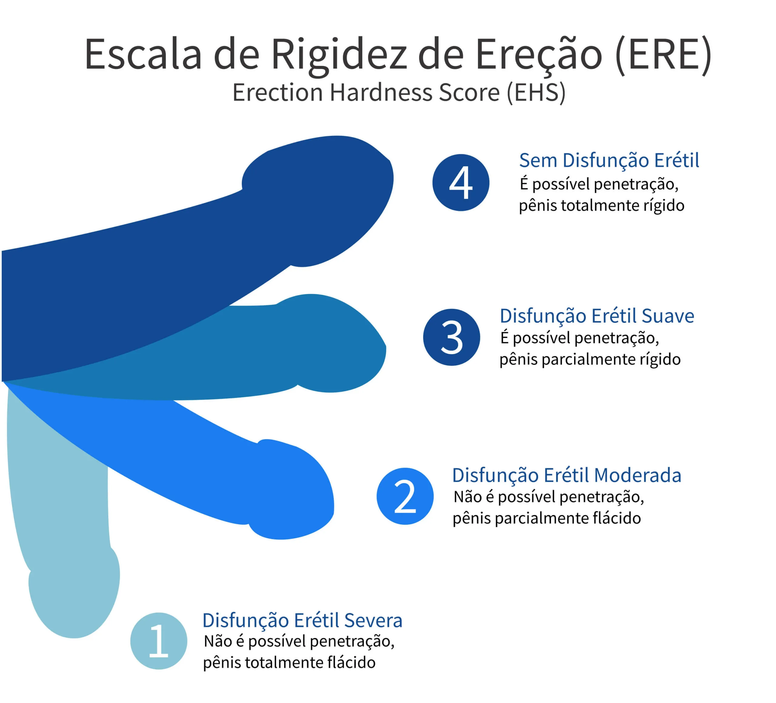 Escala Disfunção Erétil