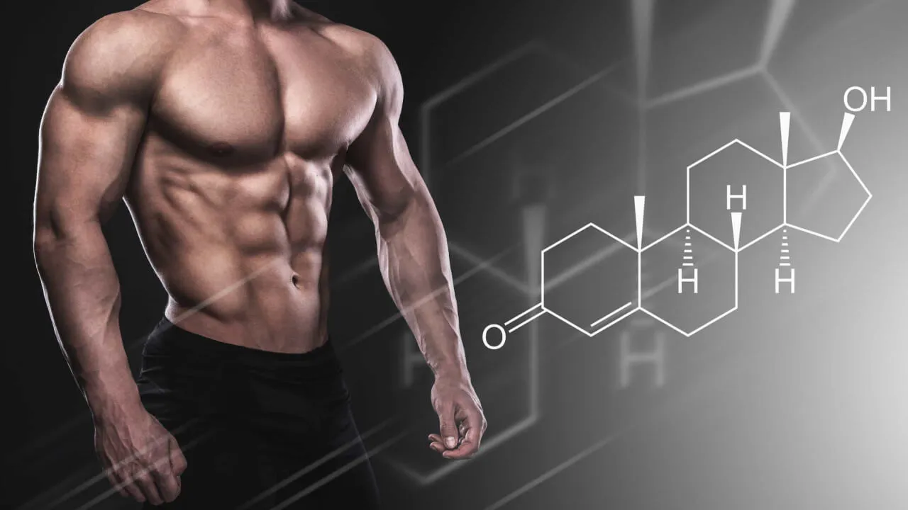 Aumentar testosterona Naturalmente