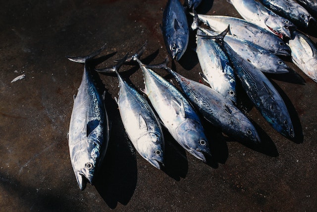 atum testosterona